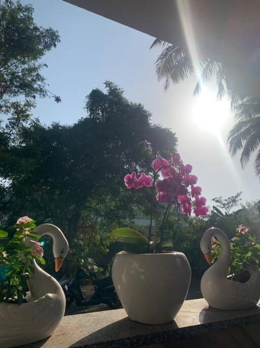 Almond Villa Find Your Paradise Alibag Exterior photo